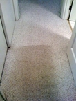 Carpet soiling and cleaning in Hindsdale, IL